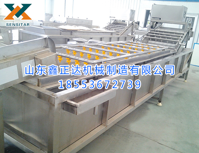 蔬菜清洗設(shè)備