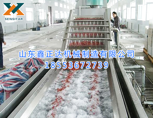 蔬菜清洗流水線