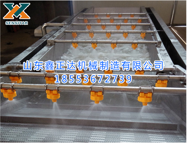 果蔬清洗流水線