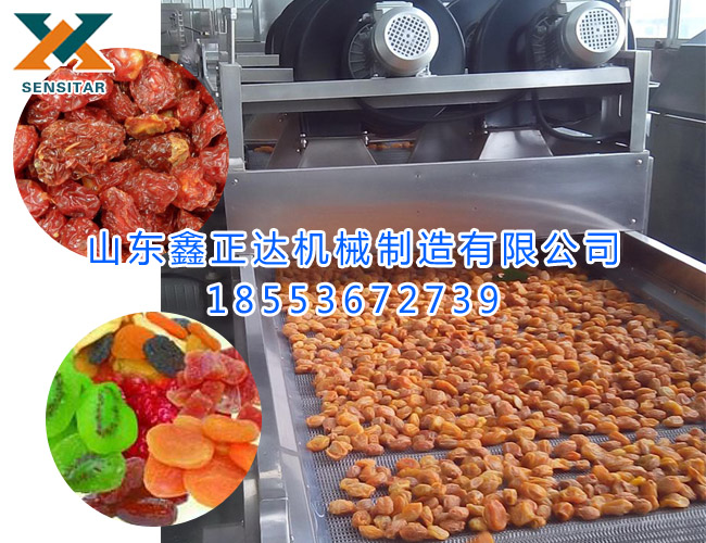 果脯風(fēng)干設(shè)備